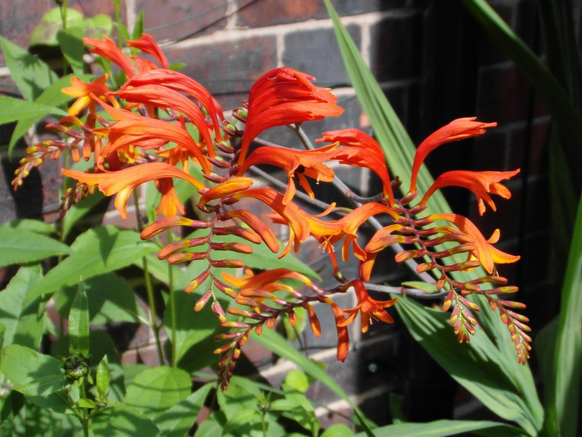 Anton Guest House Bed And Breakfast Shrewsbury Esterno foto