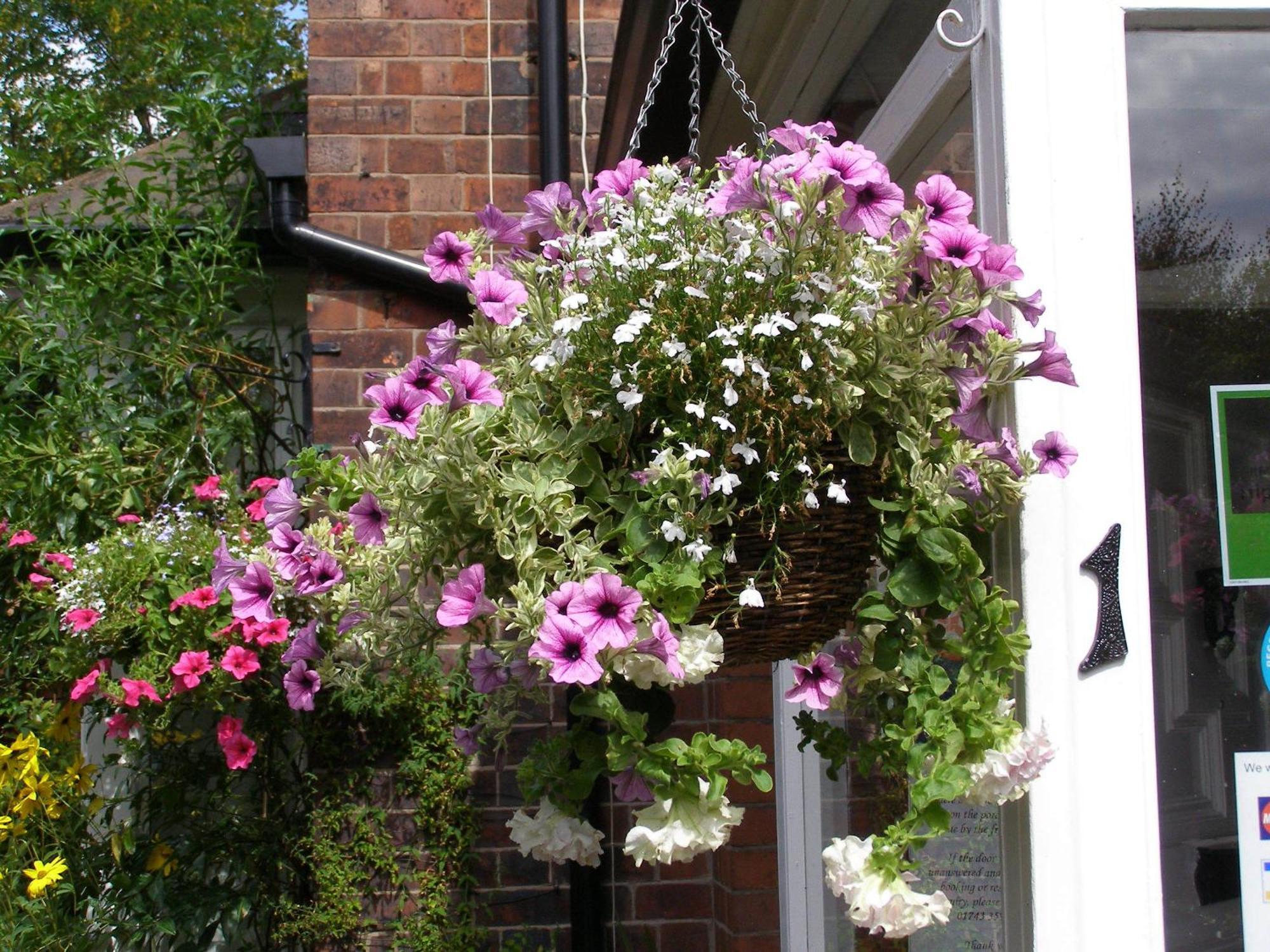 Anton Guest House Bed And Breakfast Shrewsbury Esterno foto